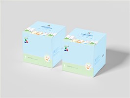 医药精装盒（书型盒）